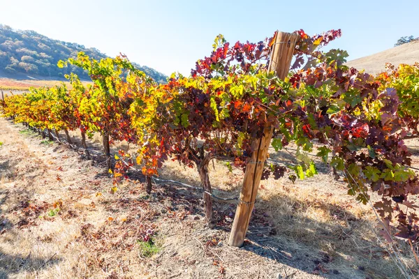 Colori dell'autunno — Foto Stock