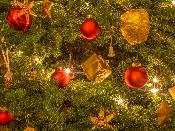 Різдвяна ялинка — стокове фото