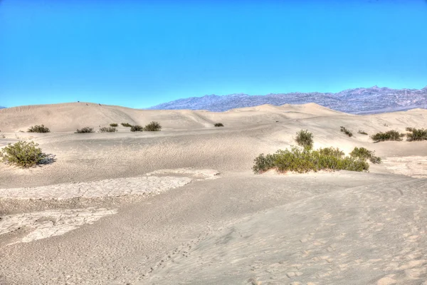 Mesquite Flat Sand Dunes — Stock Photo, Image