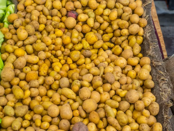 Baby aardappelen — Stockfoto