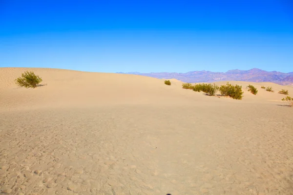 Dunas de areia planas Mesquite — Fotografia de Stock