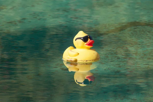 Rubber Ducky — Stockfoto