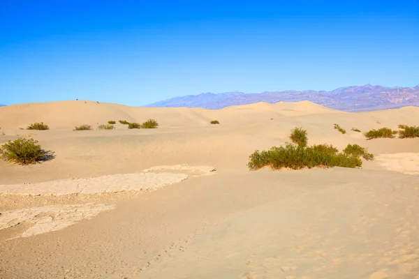 Mesquite Flat Dune di sabbia — Foto Stock