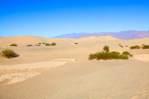 Mesquite Flat Sand Dunes — Stock Photo, Image