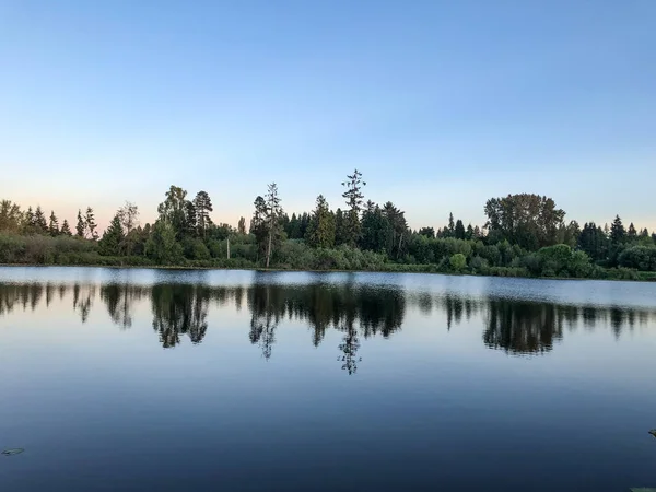 ラーセン湖ブルーベリーファームは 大規模な農場 公園エリアであなた自身のブルーベリーを選ぶのに最適な場所です レイクヒルズグリーンベルトは 湖を含む150エーカー以上の多様な野生生物生息地を含む湿地回廊です — ストック写真