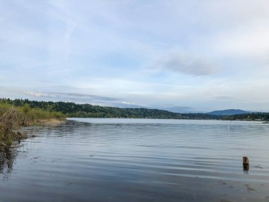 Washington, Redmond 'daki Sammamish Gölü' nün kuzey ucunda yer alan Marymoor Park, King County 'nin en büyük, en eski ve en popüler parkıdır ve 3 milyondan fazla ziyaretçi 640 dönümlük (2,6 km2) arazisini gezmeye gelmektedir.