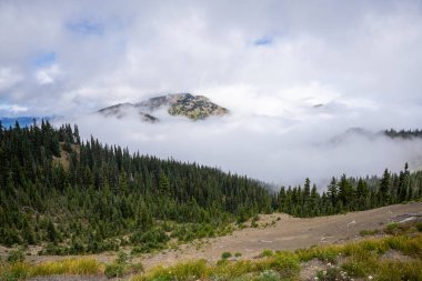 Ridge Kasırgası, Washington Olimpiyat Ulusal Parkı 'nda dağlık bir bölgedir. Port Angeles 'tan yaklaşık 18 mil (29 km) uzaklıktaki dağ yamacı, yürüyüş, kayak ve snowboard sporlarına açıktır ve ulusal parkın en çok ziyaret edilen iki alanından biridir.