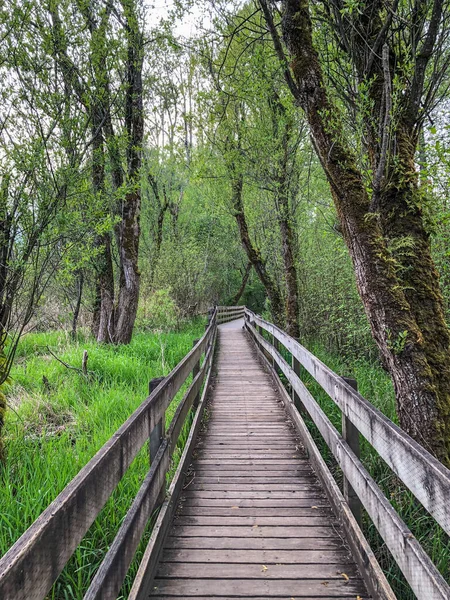 Marymoor Park Που Βρίσκεται Στο Βόρειο Άκρο Της Λίμνης Sammamish — Φωτογραφία Αρχείου