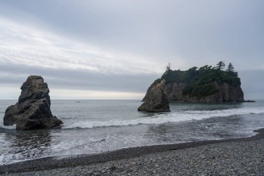 Ruby Beach, ABD 'nin Washington eyaletindeki Olympic National Park' ın kıyı kesiminin en kuzeyindeki plajdır. Forks kasabasının 27 mil güneyinde, Jefferson County 'de 101. Otoyol' da yer almaktadır..
