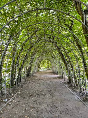 Profesör Ryszard Siwecki Hornbeam Walk 'un anıtı Towarowa ve Spacerowa caddeleri arasındaki meydanda yer almaktadır. Teatralny Park 'ın batısında, limana yakın bir yerde.