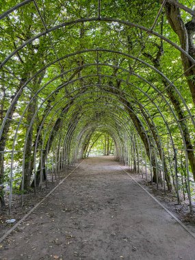 Profesör Ryszard Siwecki Hornbeam Walk 'un anıtı Towarowa ve Spacerowa caddeleri arasındaki meydanda yer almaktadır. Teatralny Park 'ın batısında, limana yakın bir yerde.