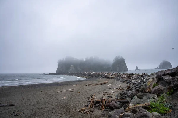 Push Beach Serie Tre Stränder Nära Samhället Push Washington Stillahavskusten — Stockfoto