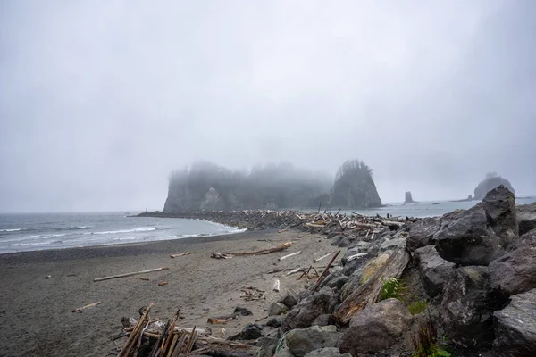 ลาพ ชเป นชายหาดสามช ดใกล มชนลาพ วอช นบนชายฝ งแปซ กของสหร ฐอเมร — ภาพถ่ายสต็อก