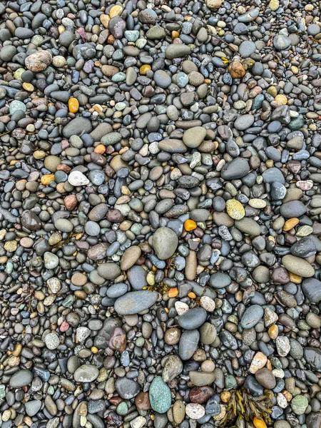 里阿尔托海滩 Rialto Beach 是华盛顿州太平洋沿岸的一个公共海滩 它毗邻奥林匹克公园靠近基勒卢特河河口的莫拉营地 由一个海滩和沿海森林组成 数不清的人 — 图库照片