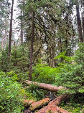 Sol Duc Vadisi 'ndeki Sol Duc Şelaleleri Olimpiyat Ulusal Parkı' nın en güzel şelaleleri olarak adlandırılıyor ve Sol Duc Kaplıcaları Resort ve Kampı 'na birkaç kilometre uzaklıkta yer alıyor..