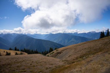 Ridge Kasırgası, Washington Olimpiyat Ulusal Parkı 'nda dağlık bir bölgedir. Port Angeles 'tan yaklaşık 18 mil (29 km) uzaklıktaki dağ yamacı, yürüyüş, kayak ve snowboard sporlarına açıktır ve ulusal parkın en çok ziyaret edilen iki alanından biridir.