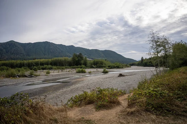 呼号雨林座落在太平洋西北部的奥林匹克半岛上 它位于华盛顿州西部 是美国最大的温带雨林之一在奥林匹克国家公园内 森林受到商业保护 — 图库照片