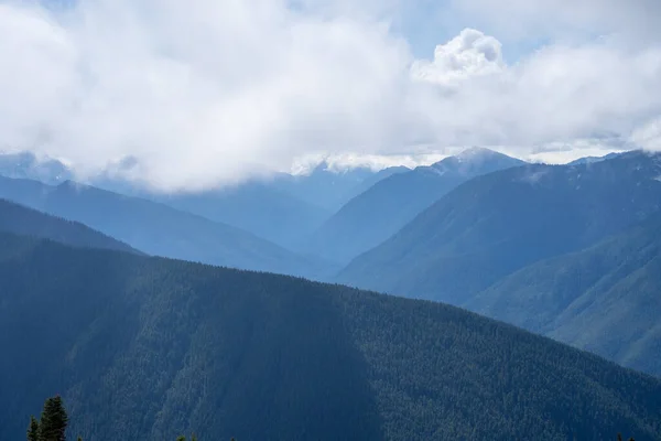 Hurricane Ridge Uma Área Montanhosa Parque Nacional Olímpico Washington Cerca — Fotografia de Stock