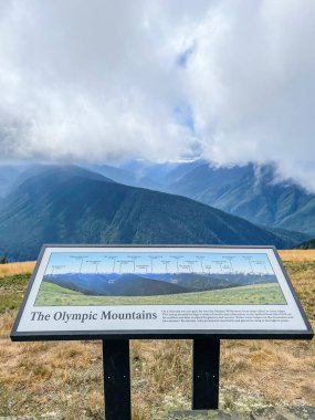 Ridge Kasırgası, Washington Olimpiyat Ulusal Parkı 'nda dağlık bir bölgedir. Port Angeles 'tan yaklaşık 18 mil (29 km) uzaklıktaki dağ yamacı, yürüyüş, kayak ve snowboard sporlarına açıktır ve ulusal parkın en çok ziyaret edilen iki alanından biridir.
