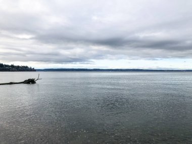 Howarth Park, Everett. Everett Rıhtımı 'nda 28 dönümlük, üç bitkin park. Yürümek ya da plajın ve bolca vahşi yaşamın tadını çıkarmak için harika bir yer..