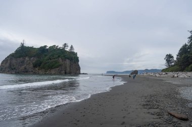 Ruby Beach, ABD 'nin Washington eyaletindeki Olympic National Park' ın kıyı kesiminin en kuzeyindeki plajdır. Forks kasabasının 27 mil güneyinde, Jefferson County 'de 101. Otoyol' da yer almaktadır..