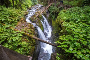 Sol Duc Vadisi 'ndeki Sol Duc Şelaleleri Olimpiyat Ulusal Parkı' nın en güzel şelaleleri olarak adlandırılıyor ve Sol Duc Kaplıcaları Resort ve Kampı 'na birkaç kilometre uzaklıkta yer alıyor..