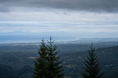 Ridge Kasırgası, Washington Olimpiyat Ulusal Parkı 'nda dağlık bir bölgedir. Port Angeles 'tan yaklaşık 18 mil (29 km) uzaklıktaki dağ yamacı, yürüyüş, kayak ve snowboard sporlarına açıktır ve ulusal parkın en çok ziyaret edilen iki alanından biridir.
