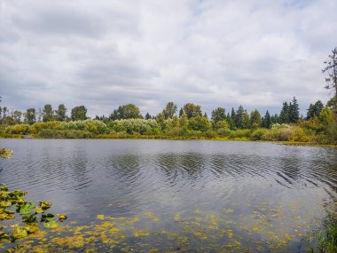 Larsen Gölü Yabanmersini Çiftliği büyük bir çiftlik / park alanında kendi yaban mersinlerini toplamak için harika bir yer. Greenbelt Gölü, ormanları, sulak alanları, dereleri ve gölleri kapsayan 150 dönümden fazla doğal yaşam alanını kapsayan bir sulak arazi koridorudur.