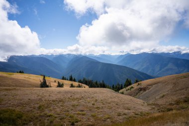 Ridge Kasırgası, Washington Olimpiyat Ulusal Parkı 'nda dağlık bir bölgedir. Port Angeles 'tan yaklaşık 18 mil (29 km) uzaklıktaki dağ yamacı, yürüyüş, kayak ve snowboard sporlarına açıktır ve ulusal parkın en çok ziyaret edilen iki alanından biridir.
