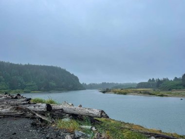 Rialto Beach, Washington eyaletinin Pasifik Okyanusu 'nda yer alan bir plajdır. = = Coğrafi konumu = = Quillayute Nehri 'nin ağzındaki Olimpiyat Ulusal Parkı' ndaki Mora Kampı 'nın bitişiğinde yer alır ve bir okyanus plajı ve kıyı ormanından oluşur. Milyonlarca.