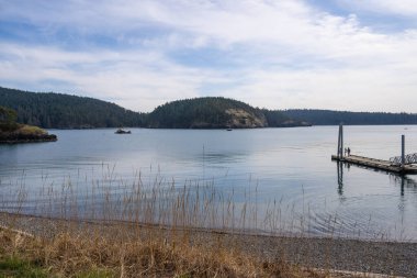 Rosario Plajı, Aldatma Geçidi Eyalet Parkı 'nın Fidalgo Adası parkına düşüyor. Aslında iki kumsal seti, bir yarımadanın her iki tarafında, Rosario Sahili parkın sunabileceği en iyi örnektir. Burada gel-git havuzları var, geniş. 