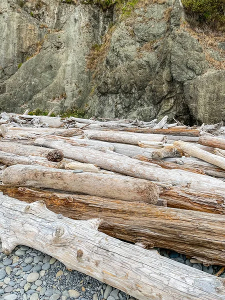 Ruby Beach Est Septentrionale Des Plages Sud Dans Partie Côtière — Photo