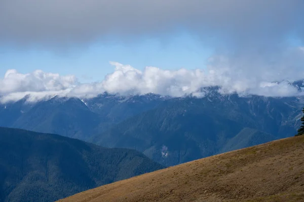 Orkanen Ridge Ett Bergsområde Washingtons Olympiska Nationalpark Cirka Miles Med — Stockfoto