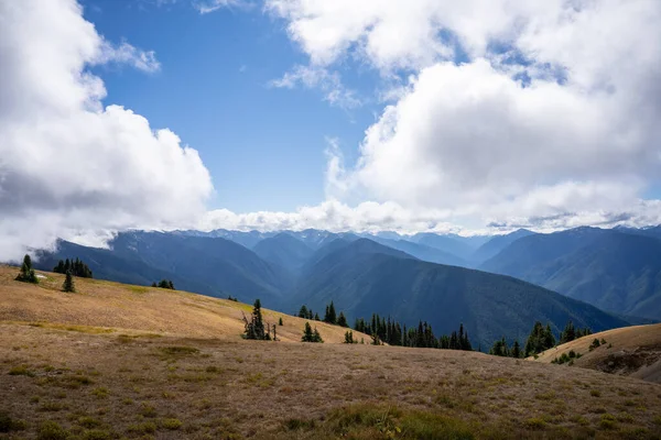 Hurricane Ridge Uma Área Montanhosa Parque Nacional Olímpico Washington Cerca — Fotografia de Stock