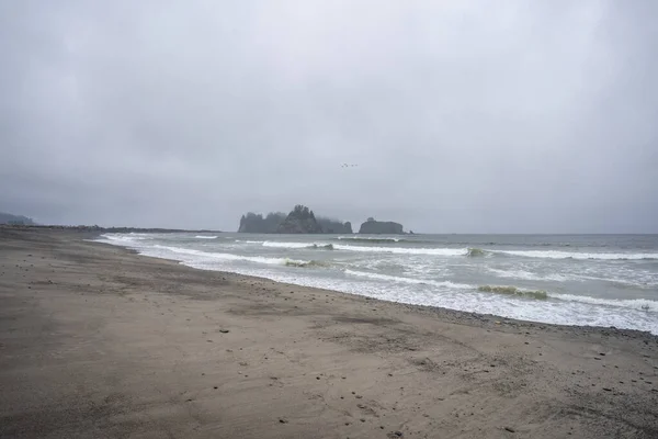 Rialto Beach Egy Nyilvános Strand Található Csendes Óceán Washington Államban — Stock Fotó