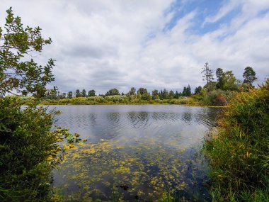 Larsen Gölü Yabanmersini Çiftliği büyük bir çiftlik / park alanında kendi yaban mersinlerini toplamak için harika bir yer. Greenbelt Gölü, ormanları, sulak alanları, dereleri ve gölleri kapsayan 150 dönümden fazla doğal yaşam alanını kapsayan bir sulak arazi koridorudur.