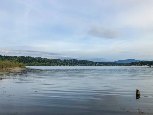 Marymoor Park Terletak Ujung Utara Danau Sammamish Redmond Washington Adalah — Stok Foto