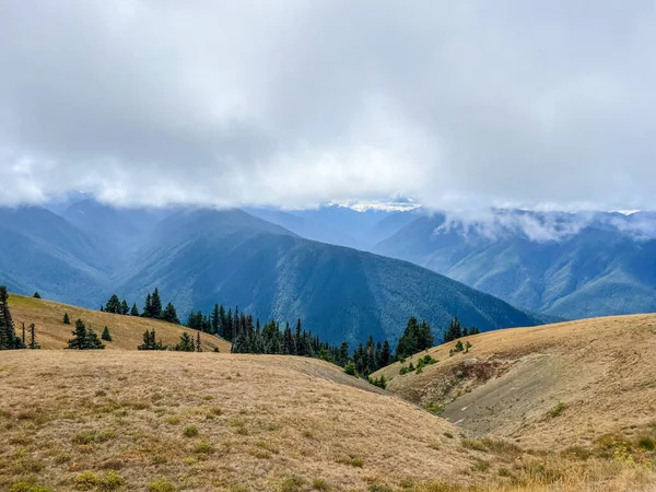 Hurricane Ridge Egy Hegyvidéki Terület Washingtoni Olimpiai Nemzeti Parkban Körülbelül — Stock Fotó