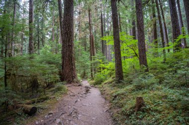 Sol Duc Vadisi 'ndeki Sol Duc Şelaleleri Olimpiyat Ulusal Parkı' nın en güzel şelaleleri olarak adlandırılıyor ve Sol Duc Kaplıcaları Resort ve Kampı 'na birkaç kilometre uzaklıkta yer alıyor..