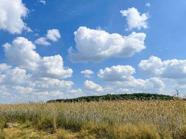 Beautiful Summer Landscape Farmfields Wagrowiec Poland — Stock Photo, Image