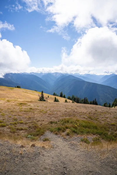 Hurricane Ridge Uma Área Montanhosa Parque Nacional Olímpico Washington Cerca — Fotografia de Stock