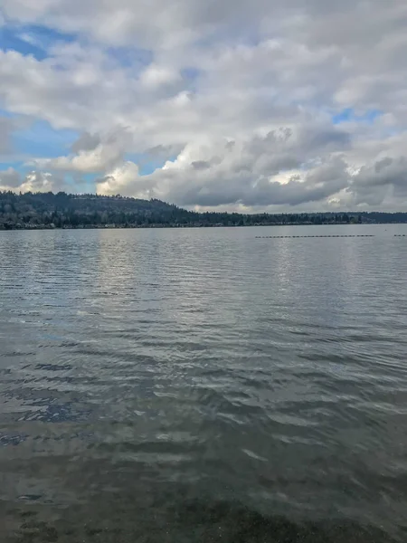 Lake Sammamish State Park 워싱턴 카운티의 호수의 공원이다 공원은 Washington — 스톡 사진