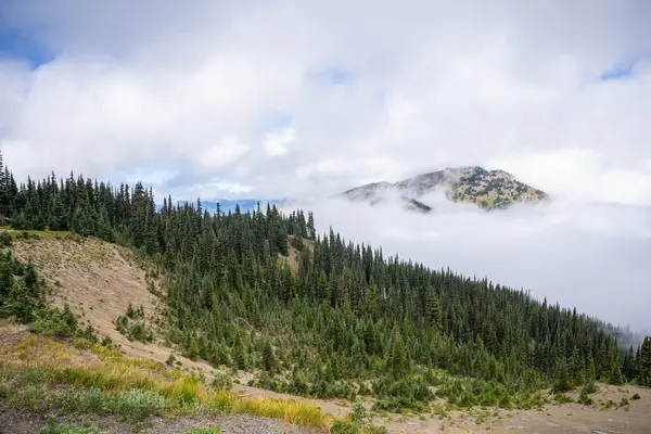 Τυφώνας Ridge Είναι Μια Ορεινή Περιοχή Στο Ολυμπιακό Εθνικό Πάρκο — Φωτογραφία Αρχείου