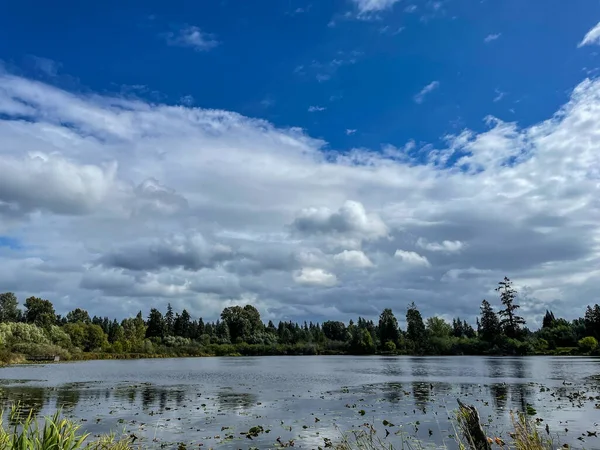 Larsen Gölü Yabanmersini Çiftliği büyük bir çiftlik / park alanında kendi yaban mersinlerini toplamak için harika bir yer. Greenbelt Gölü, ormanları, sulak alanları, dereleri ve gölleri kapsayan 150 dönümden fazla doğal yaşam alanını kapsayan bir sulak arazi koridorudur.