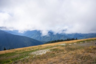 Ridge Kasırgası, Washington Olimpiyat Ulusal Parkı 'nda dağlık bir bölgedir. Port Angeles 'tan yaklaşık 18 mil (29 km) uzaklıktaki dağ yamacı, yürüyüş, kayak ve snowboard sporlarına açıktır ve ulusal parkın en çok ziyaret edilen iki alanından biridir.