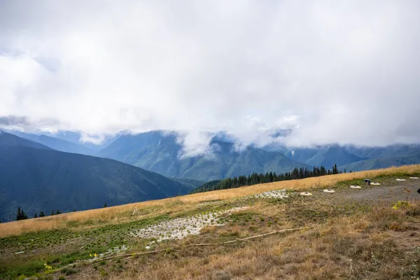 Hurricane Ridge Uma Área Montanhosa Parque Nacional Olímpico Washington Cerca — Fotografia de Stock