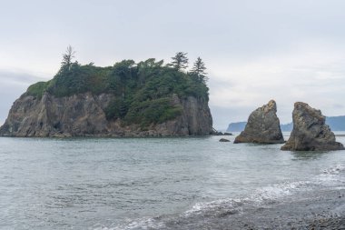 Ruby Beach, ABD 'nin Washington eyaletindeki Olympic National Park' ın kıyı kesiminin en kuzeyindeki plajdır. Forks kasabasının 27 mil güneyinde, Jefferson County 'de 101. Otoyol' da yer almaktadır..