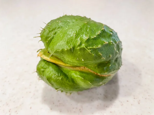 Chayote Sechium Edule Tökfélék Családjába Tartozó Ehető Növény Cucurbitaceae Ezt — Stock Fotó