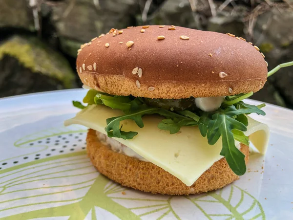 Zalmburger Een Soort Viskoek Gemaakt Van Voornamelijk Zalm Vorm Van — Stockfoto