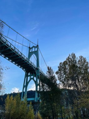 Cathedral Park, Portland, Oregon 'un kuzeyindeki Willamette Nehri' nin doğu kıyısında yer alan bir parktır. Park St. Johns Köprüsü 'nün altında yer almaktadır ve adını Gotik' ten almıştır. 